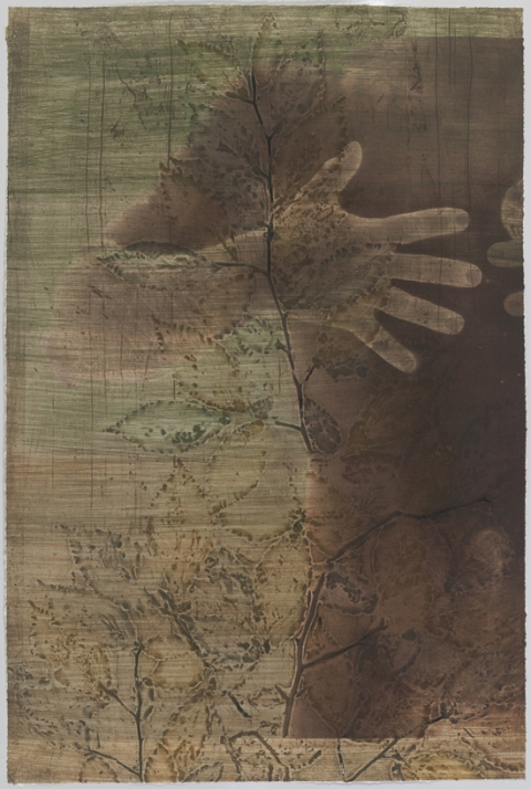 Promising Beech II Creatura Botanica: Human and Plant Forms Conjoined collagraph on cotton ultrachrome photo print