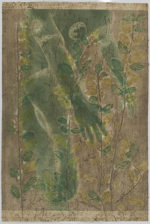 Twisting Quince II Creatura Botanica: Human and Plant Forms Conjoined collagraph on cotton ultrachrome photo print mounted on stretched canvas