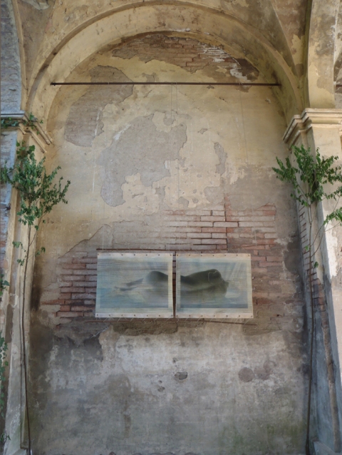 Dreaming under the arches Creatura Botanica: Human and Plant Forms Conjoined Prints fused to grommeted canvas with burnished encaustic hung with twine to plum branches