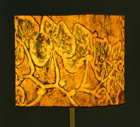 Squash emerald on casaba (graphic relief) Belfast Bay Shade Company: Handcrafted Lampshades Botanical Collagraph hand-printed on archival paper and fused to styrene on steel shade rings