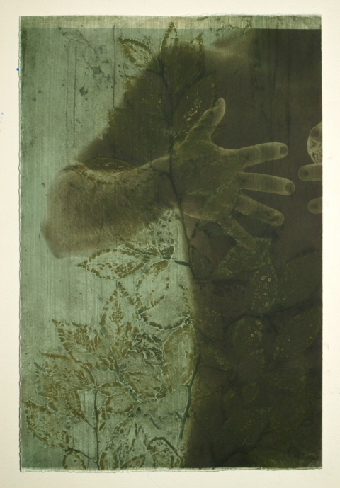 Promising Beech I Creatura Botanica: Human and Plant Forms Conjoined collagraph on cotton ultrachrome photo print