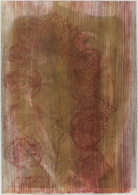 Pausing Hydrangea II (rose) Creatura Botanica: Human and Plant Forms Conjoined collagraph on cotton ultrachrome photo print