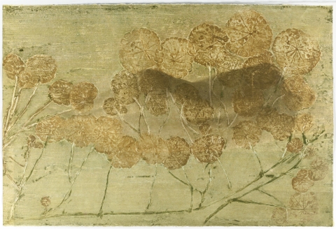Dreaming Nasturtium I (ochre & olive) Creatura Botanica: Human and Plant Forms Conjoined collagraph on cotton ultrachrome photo print