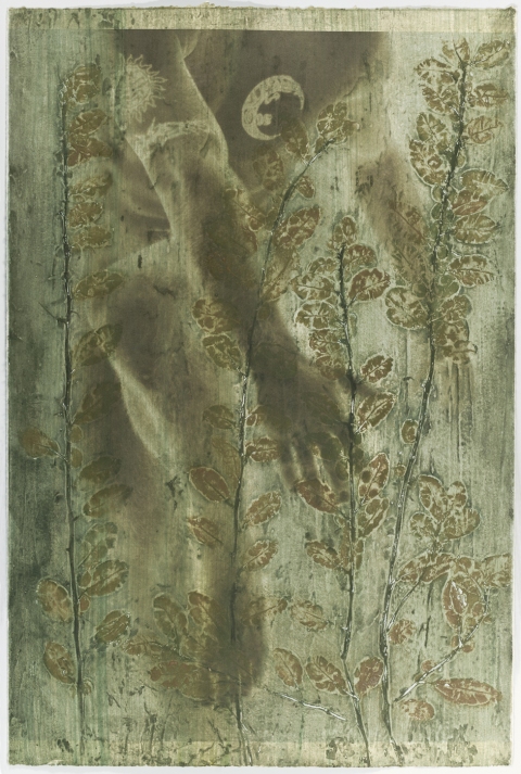 Twisting Quince I Creatura Botanica: Human and Plant Forms Conjoined collagraph on cotton ultrachrome photo print