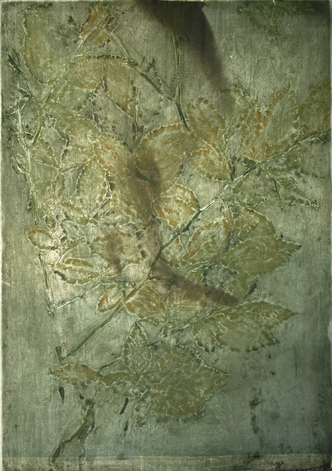 Turning Beech (detail) Creatura Botanica: Human and Plant Forms Conjoined collagraph on cotton ultrachrome photo print