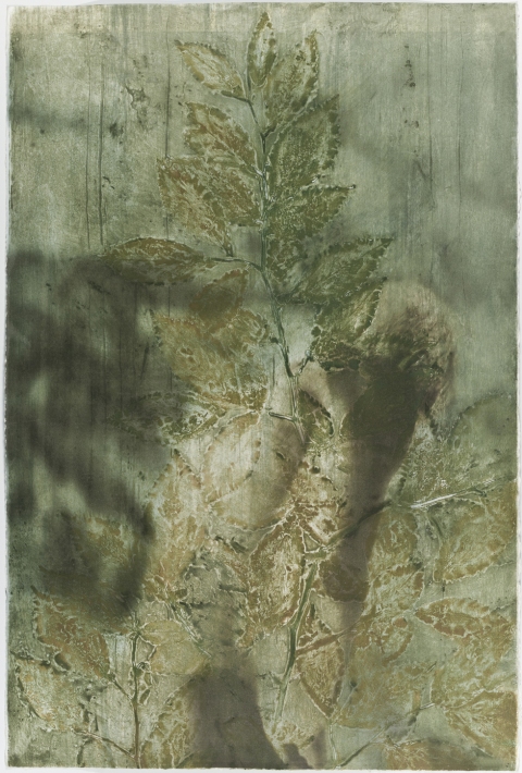 Turning Beech (detail) Creatura Botanica: Human and Plant Forms Conjoined collagraph on cotton ultrachrome photo print