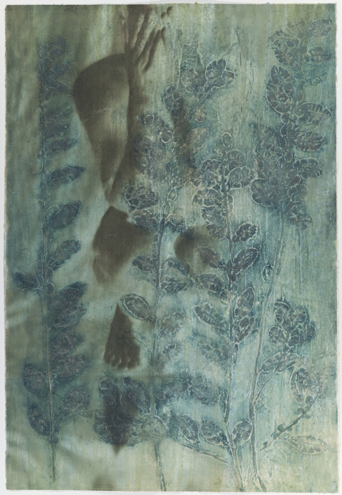 Hiding Quince I Creatura Botanica: Human and Plant Forms Conjoined collagraph on cotton ultrachrome photo print