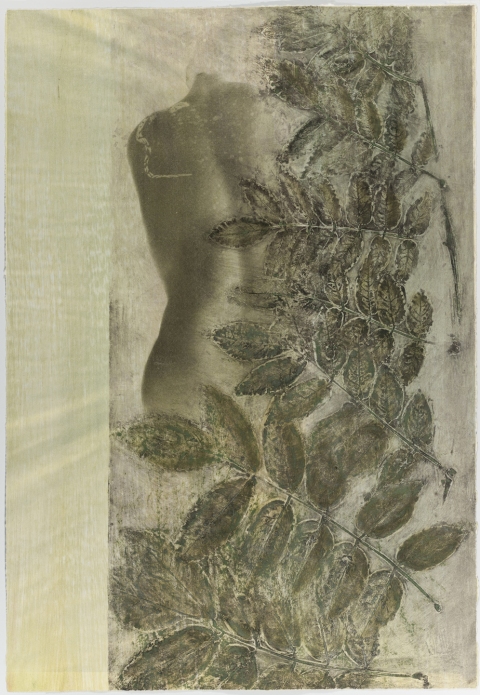 Dreaming Wisteria I Creatura Botanica: Human and Plant Forms Conjoined collagraph on cotton Ultrachrome photo print