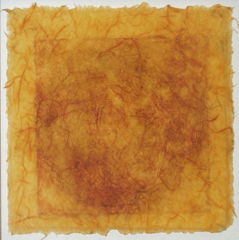 Thumbprint Window Prints collagraph on kozo, fused to sailcloth with encaustic