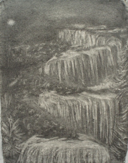 Donna Powers Drawings graphite on Indian cotton rag paper