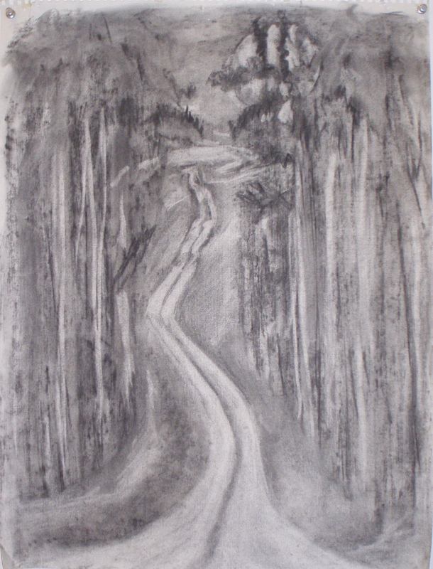 Donna Powers Drawings charcoal on paper