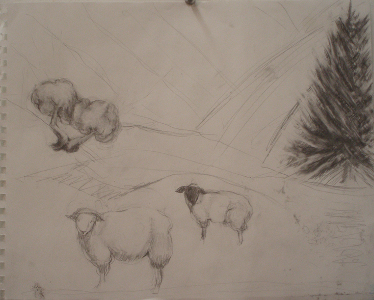 Donna Powers Drawings graphite on paper