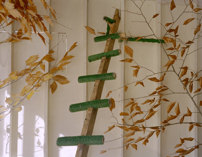 Aviary Green Screen Chromogenic print