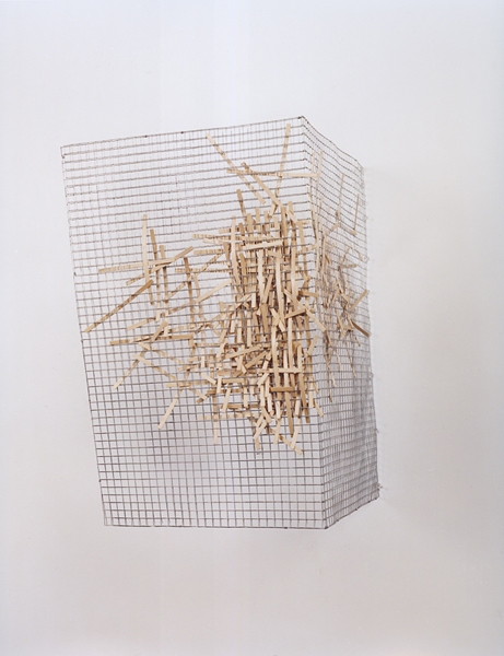 Quaker Nest Portrait Green Screen Chromogenic print