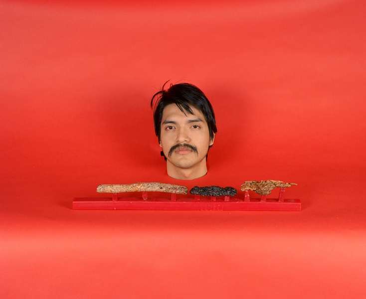 Carlos Red Bust (With Sprue System) Green Screen Chromogenic print