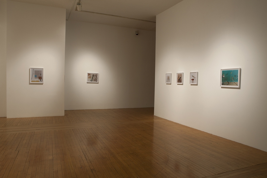 Installation View, 2011 Green Screen