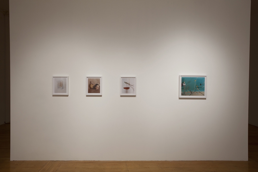 Installation View, 2011 Green Screen