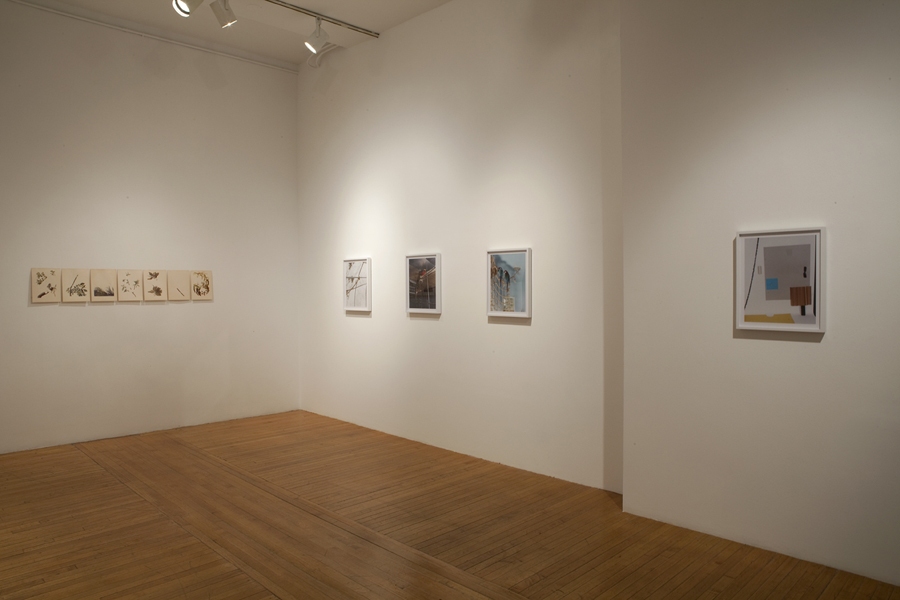 Installation View, 2011 Green Screen