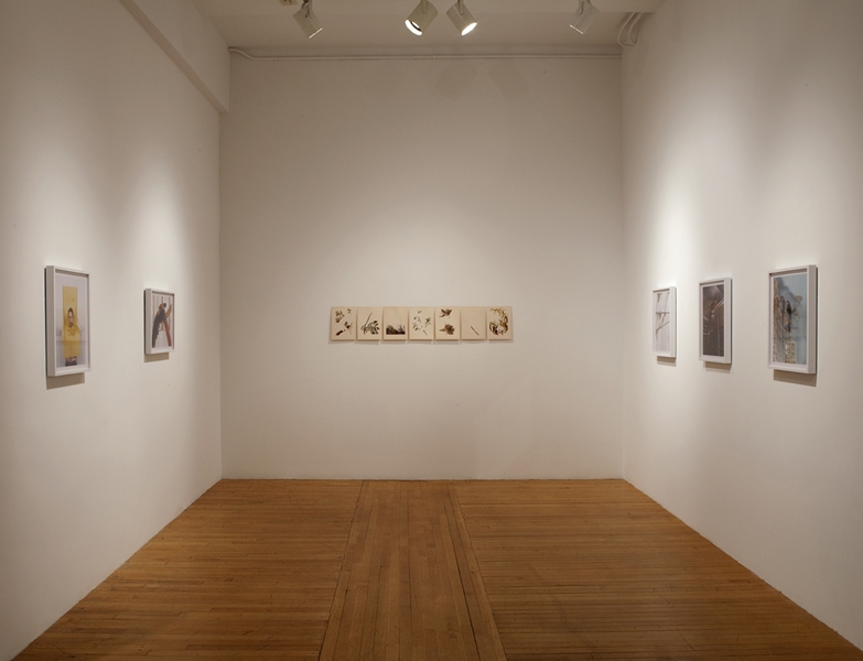 Installation View, 2011 Green Screen