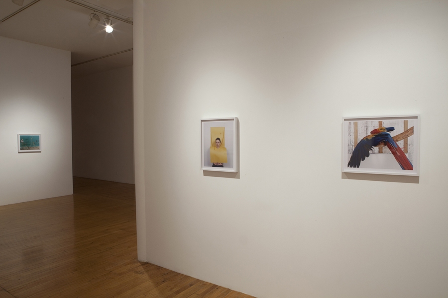 Installation View, 2011 Green Screen