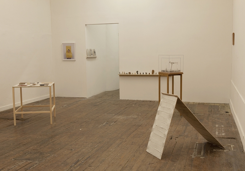 Installation View, 2011 The Pleasure's Mine