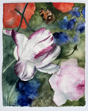 Elise Ansel Watercolors watercolor on Arches 300 lb hot press