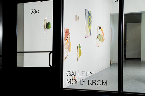 Gallery Molly Krom (Exterior) Installation