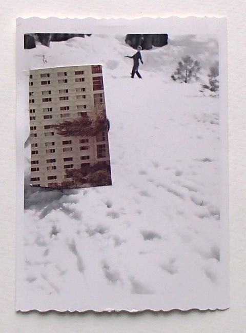 Pairings: Sledding 1 Pairings Photographs