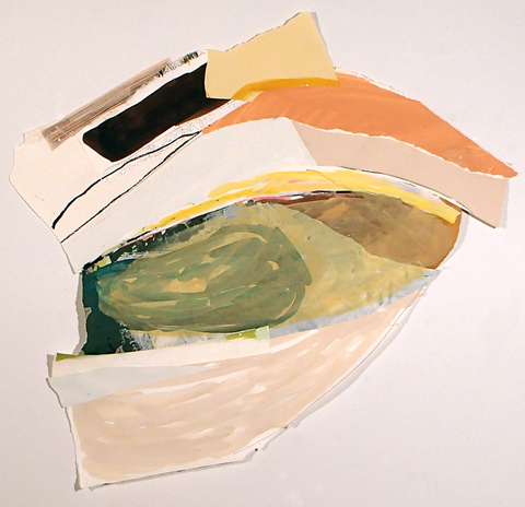 Ocean Pod with Brown Installation Paper, photographs, ink & graphite