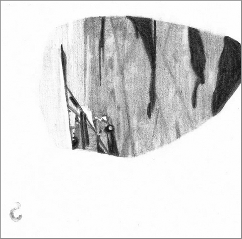 Airport(detail) Portals/Portholes graphite on paper