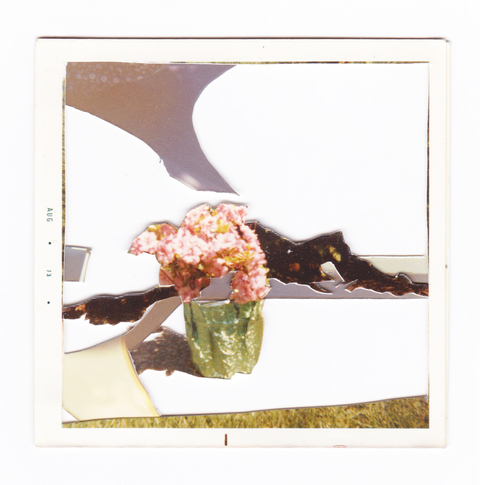 Green Foil Shadow Boxes Photographs