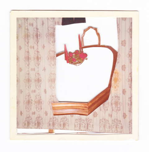 98 Shadow Boxes Photographs