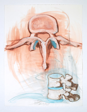 Elizabeth Riggle Drawings conte, gouache on paper