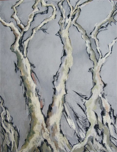 “THAT THERE WILL BE NO RAIN AND THE GROUND WILL NOT YIELD ITS PRODUCE" Landscapes Pastel / 25 X 19