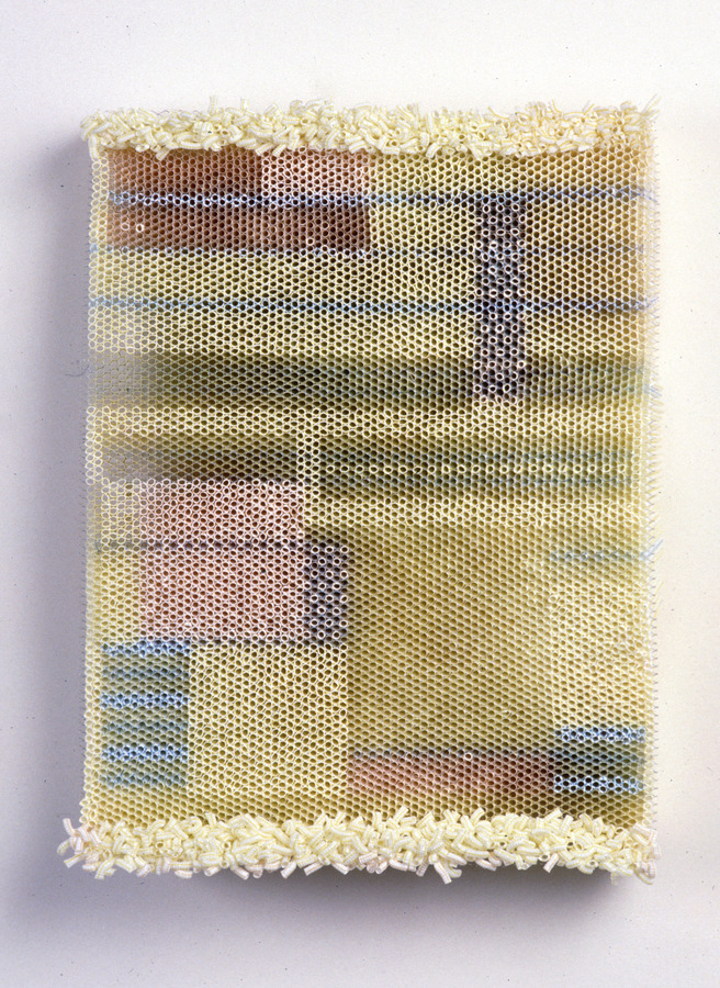 Anni Elizabeth Duffy Archive straws, wire mesh