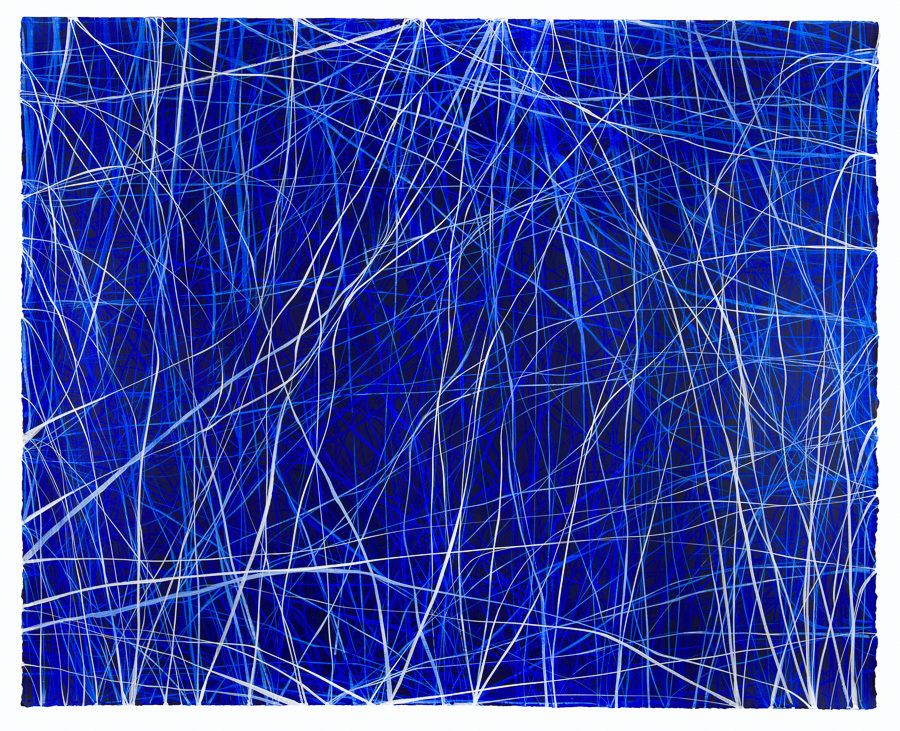 Examen, 11/2/2016 ERIN WIERSMA Examen Acrylic on paper