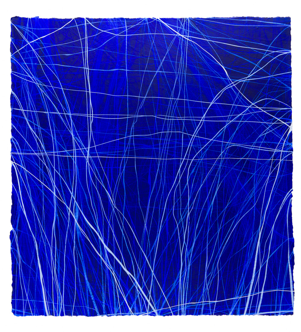 Examen, 6/1/2015 ERIN WIERSMA Examen Acrylic on paper