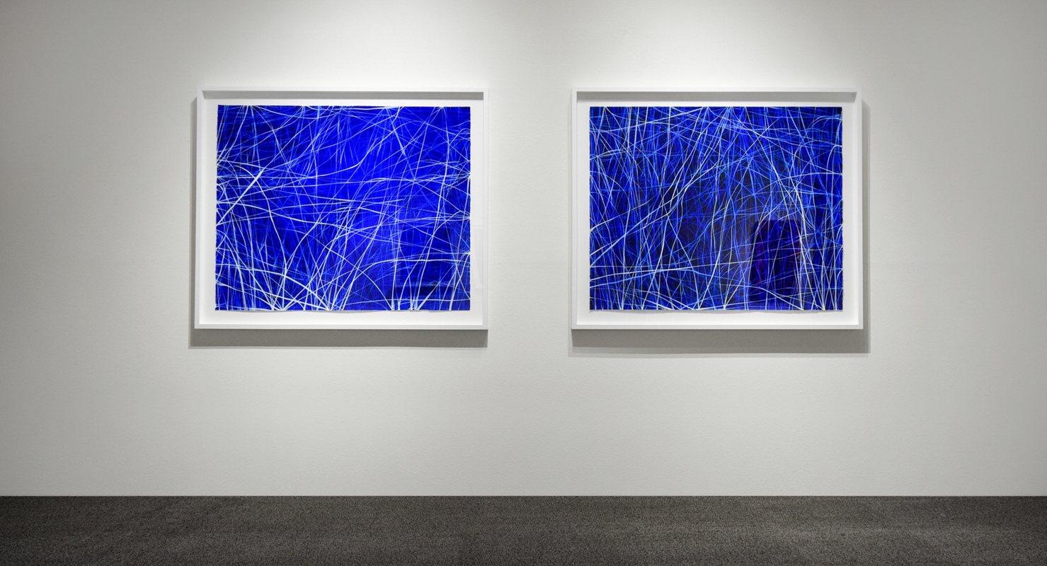 Erin Wiersma: Examen Series ERIN WIERSMA Examen