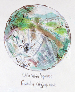 Fred Adell - Wildlife Artist Arachnids mixed media (ink, watercolor, oil pastel)