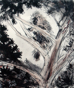 Fred Adell - Wildlife Artist Porcupines Ink on Watercolor Paper