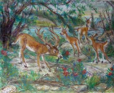 Fred Adell - Wildlife Artist Deer mixed media (ink, watercolor, tempera, oil pastel)