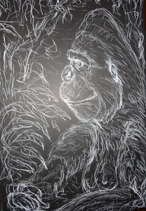Fred Adell - Wildlife Artist Mammals - Primates white laundry marker on black mat board