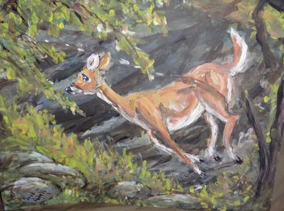 Fred Adell - Wildlife Artist Deer  Mixed Media (ink, watercolor, tempera) on primed cardboard