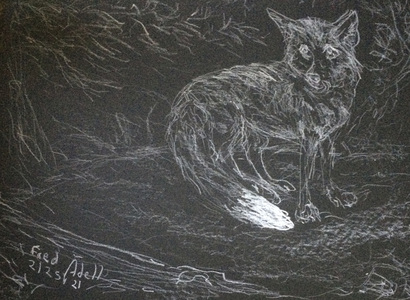 Fred Adell - Wildlife Artist Dogs (wild) and Wolves White marker on black mat board