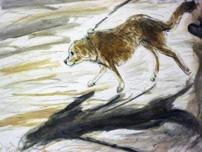 Fred Adell - Wildlife Artist Dogs - Domesticated mixed media  (sepia & India Ink) on paper   