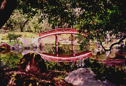 Beijing Park Infinity #1 George Megrue Color photograph