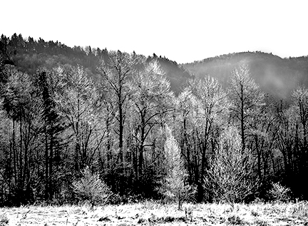 Winter Awakening- Vermont George Megrue Color photograph