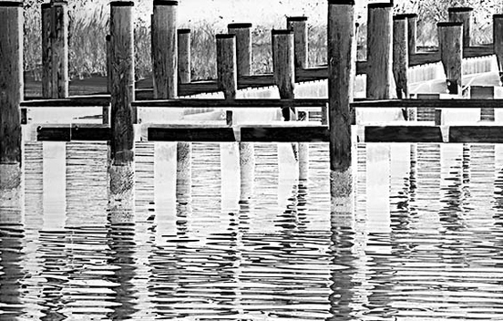 Reflection George Megrue Black & White photograph
