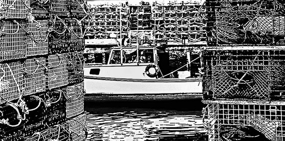 Trapped George Megrue Black & White photograph