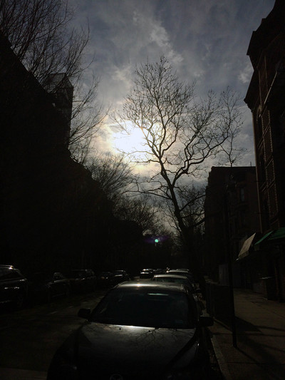 March 22, 2014, 10:56am, Brooklyn "The light today" GRETCHEN GRACE The 24 Hour Project